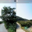 대곡1리마을회관 이미지