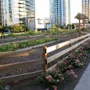 새벽숲농장 이미지