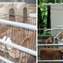 조영수농장 이미지