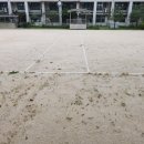 서울대신초등학교 이미지