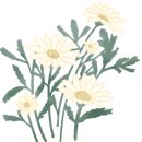 낙지와볼테기 이미지