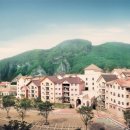 동강시스타 이미지