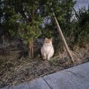오렌즈 안성점 | 월간일기 12월: 복호두, 강남 라인 프렌즈, 로쿄, 코끼리 베이글