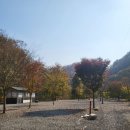 동당미펜션 이미지