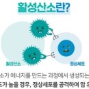 닥터모락 대전둔산점