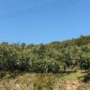 금바위농장 이미지