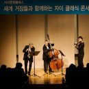 자이갤러리 머니투데이
