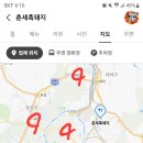 인연돼지