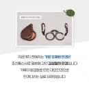 [일타에듀] 예법을 중요시 했던 조선시대 안경