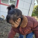 새싹어린이집 이미지