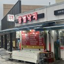 무안낙지 이미지