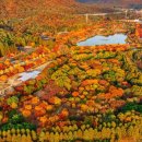 해마다 400만 명 몰리는 이유가 있네.....인천대공원 가을 여행지 이미지