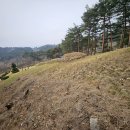 안산김씨 평산신씨 정려 | 강릉 풍수 답사기 (1)(부제 : 강릉최씨 이야기)