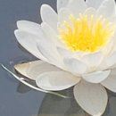 마장공원 이미지