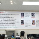 송이버벗 이미지