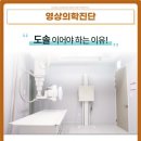 진자동차병원 이미지