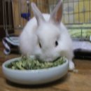 덕풍황토방 이미지