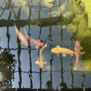 컬드삭 | 백만년에 돌아온 일상/컬드삭, 숑스바베큐/ 맛집, 분위기 맛집 후기😘