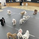아토맘수제간식cafe
