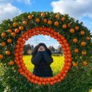 김밥앤국시 이미지