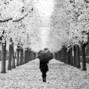 밥사랑술사랑 이미지