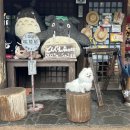 도그하우스 애견샵 이미지