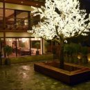 도시농가코페 이미지