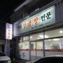 현이양이 이미지