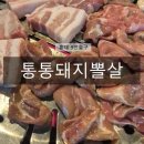 새라네참기름 | 통통돼지뽈살 홍대본점 후기 :: 홍대입구역맛집에서 돼지특수부위 제대로 즐긴 홍대단체회식 추천