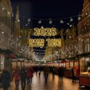 웅동의원 | 2025년 연말 ~~~ 정산(?)