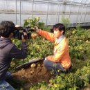 솔로몬농장 이미지