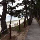 완도민박 이미지