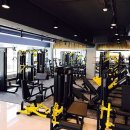 메카헬스 이미지