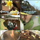 호박스포츠 이미지