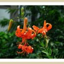 목포중증장애인애인회 이미지