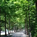 백두대간목재문화체험관 이미지