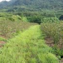 병수농장 이미지