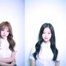 비비정지 이미지