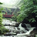 태안사계곡 이미지