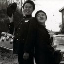 얄개비디오 이미지