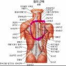 짐 크래커 이미지