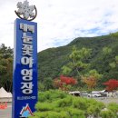 태백 눈꽃 야영장 이미지