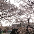 경기도 수원시 영통구 월드컵로 이미지