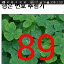 알로미뷰티 이미지