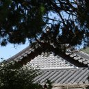 지에스(GS) 진주지수점 | 진주 부자마을 지수 승산마을 지수초등학교 부자소나무