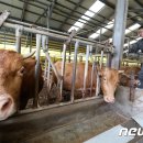 이스턴24시동물병원 이미지