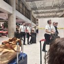 세친구 | [세부] 고래상어 오모팩 오슬롭 모알보알 투말록 폭포_세친구투어 후기