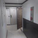 고란초 | 올해도 부여! 고란초 모텔 숙박 후기