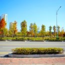 우천목장 이미지