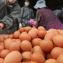 벧엘농장2 이미지